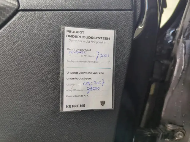 Peugeot e-208 EV Allure Pack 50 kWh 2021 Elektrisch 30