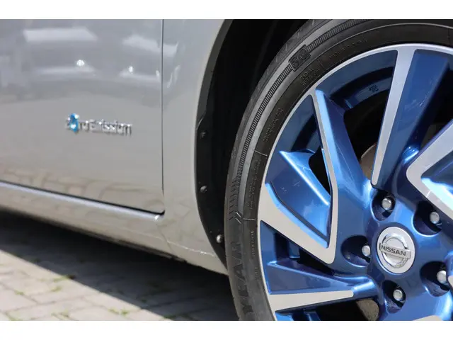 Nissan Leaf Visia 24 kWh | Alle Opties | 2015 Elektrisch 12