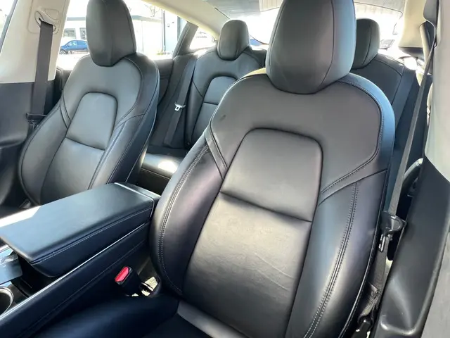 Tesla Model 3 Long Range AWD 75 kWh 2019 Elektrisch 24