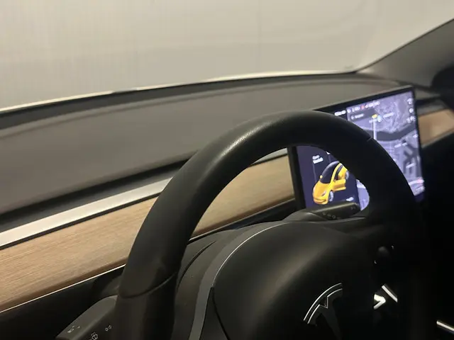 Tesla Model 3 Standard RWD Plus 60 kWh 2019 Elektrisch 13