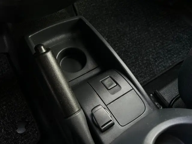 Renault Kangoo Z.E. (ex. accu) SOH accu 96% 2020 Elektrisch 10