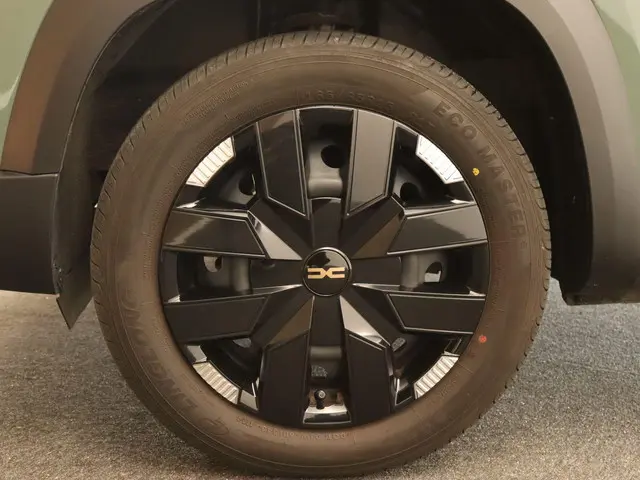 Dacia Spring Extreme 65 26.8 kWh 2025 Elektrisch 18