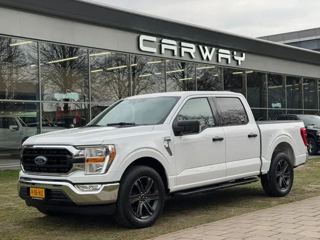 Ford F-150 5.0L V8 XLT 6 Zits BPM-VRIJ 2024 Benzine