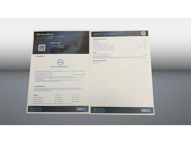 Nissan Leaf N-Connecta 40 kWh 2018 Elektrisch 20