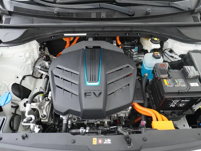 Kia e-Niro Edition 64 kWh 2021 Elektrisch 14