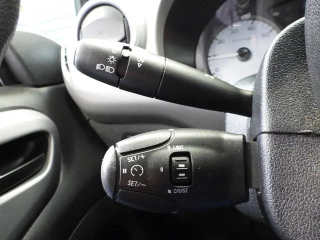 Citroën Berlingo 1.6 BlueHDi 4x4 Dangel 2016 Diesel 11