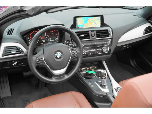 BMW 2 Serie Cabrio 220i EERSTE EIGENAAR 2015 Benzine 10