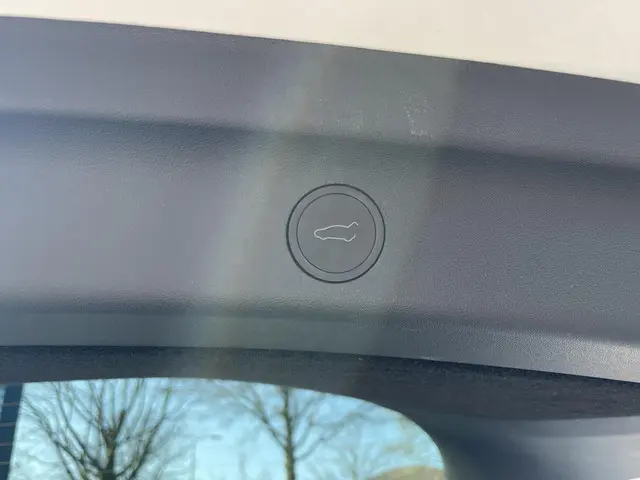 Tesla Model Y Performance AWD 75 kWh 2023 Elektrisch 7