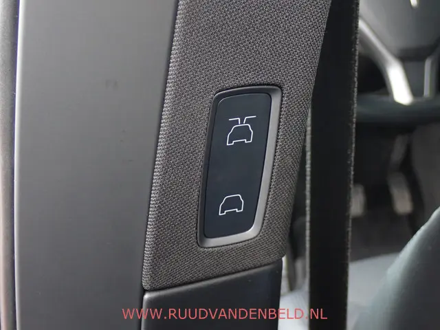 Tesla Model X 100D 2018 Elektrisch 25