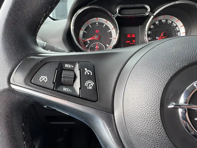 Opel ADAM 1.4 Glam 2013 Benzine 23