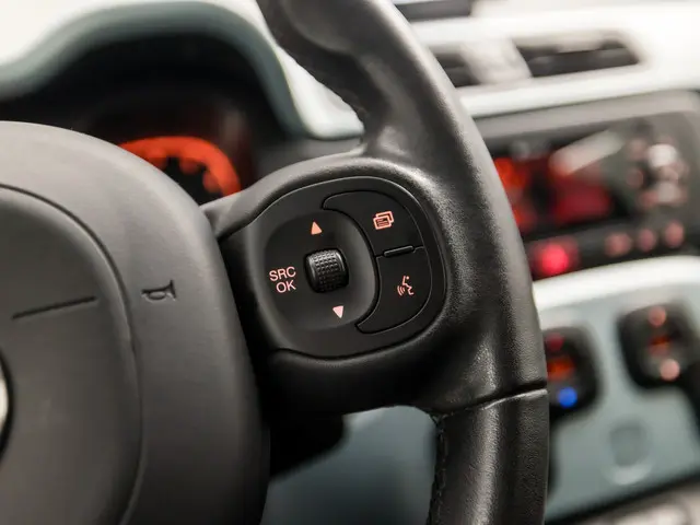 Fiat Panda 1.0 Cross Sport 2020 Benzine 21