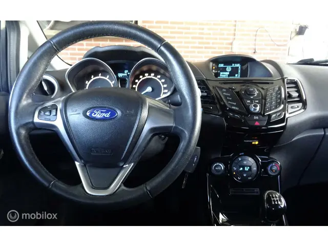Ford Fiesta 1.0 Titanium 2013 Benzine 14