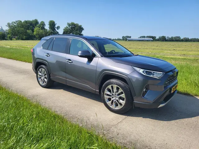 Toyota RAV4 2.0 VVT-iE Executive 2019 Benzine 7