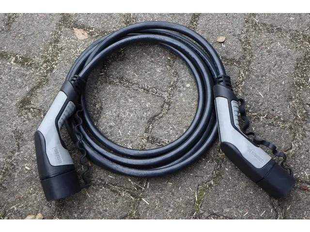 Tesla Model 3 Long Range AWD 75 kWh 2019 Elektrisch 23