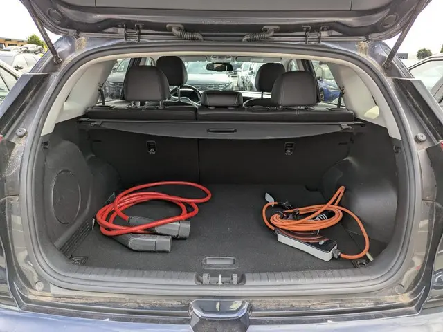 Kia e-Niro ExecutiveLine 64 kWh 2020 Elektrisch 13