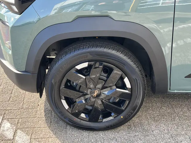 Dacia Spring 3