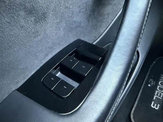 Tesla Model 3 Standard RWD Plus 60 kWh 2020 Elektrisch 13