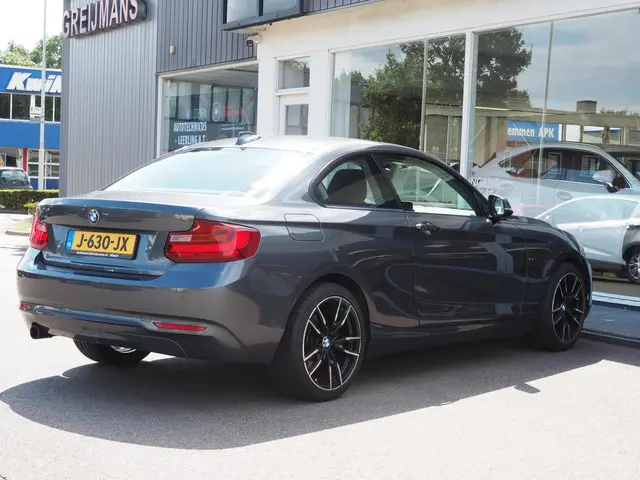 BMW 2 Serie Coupé 220i High Executive 2014 Benzine 18