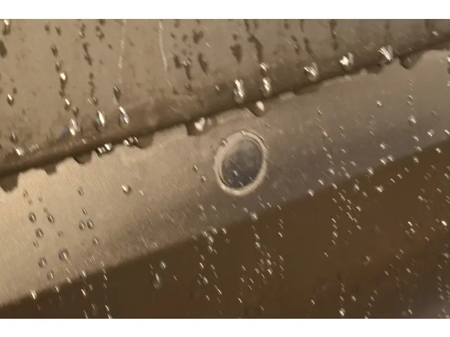 Citroën C3 PureTech 110 Shine. 2021 Benzine 19