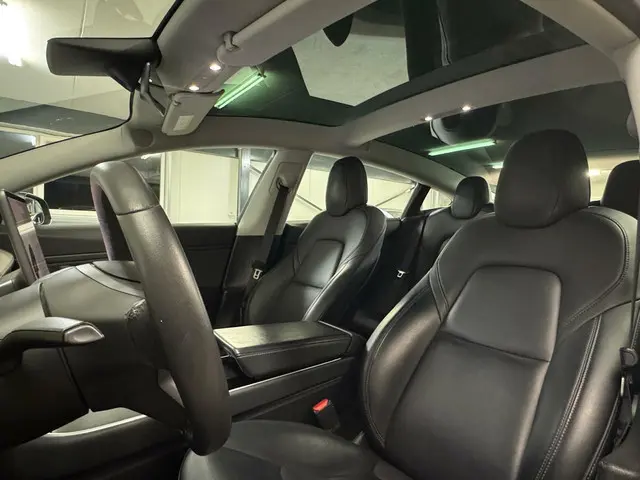Tesla Model 3 Long Range AWD 75 kWh 2019 Elektrisch 12