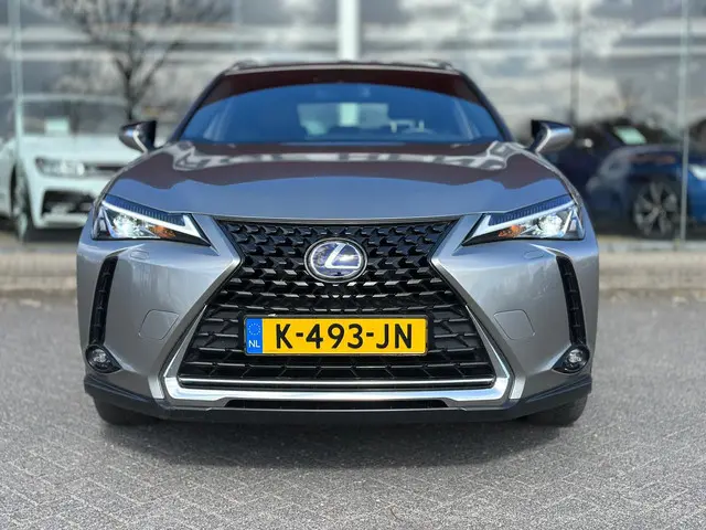 Lexus UX 300e Business 54 kWh 2020 Elektrisch 34