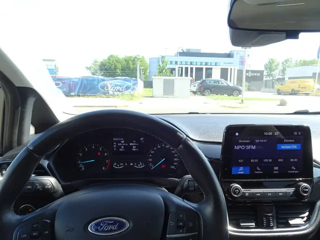 Ford Fiesta 1.0 EcoBoost Active 2019 Benzine 10