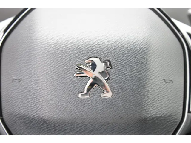 Peugeot 3008 1.6 HYbrid 225 GT 2020 Hybride Benzine 25
