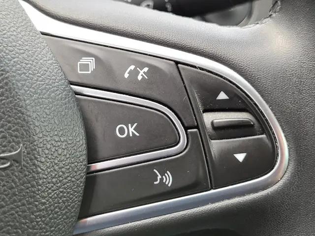 Renault Grand Scénic 1.3 TCe 140 Intens 7p. 2019 Benzine 27