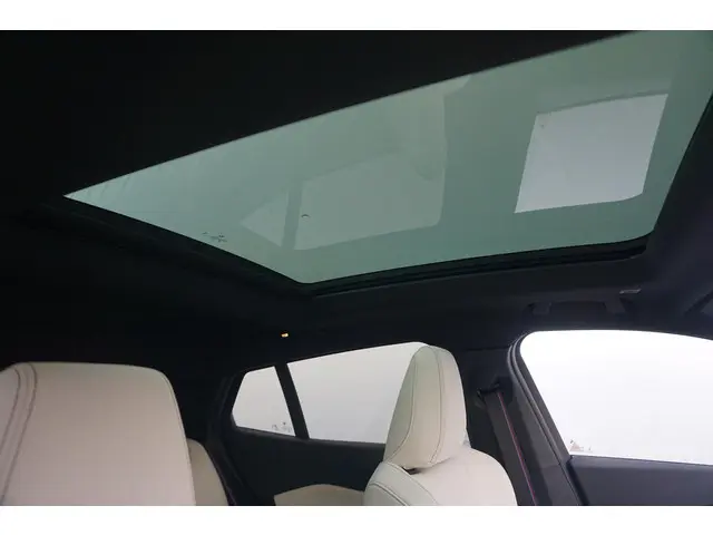 BMW X2 sDrive20i 2025 Benzine 12