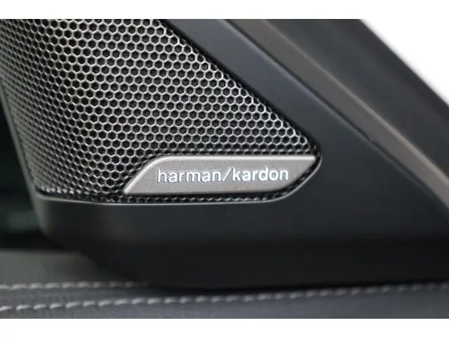 BMW Z4 Roadster sDrive30i 2019 Benzine 24