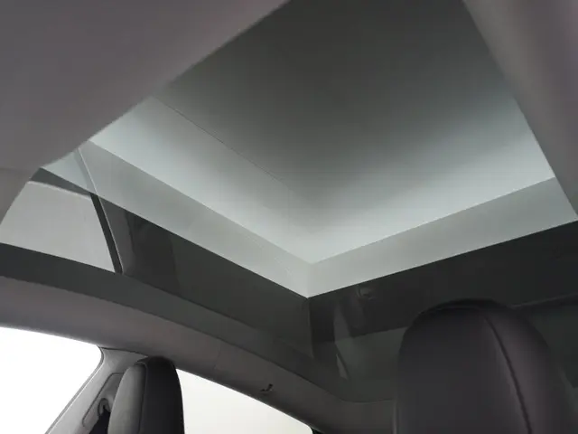 Tesla Model Y Performance AWD 75 kWh 2022 Elektrisch 20