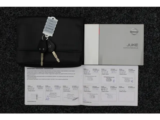 Nissan Juke 1.6 Acenta 2013 Benzine 34