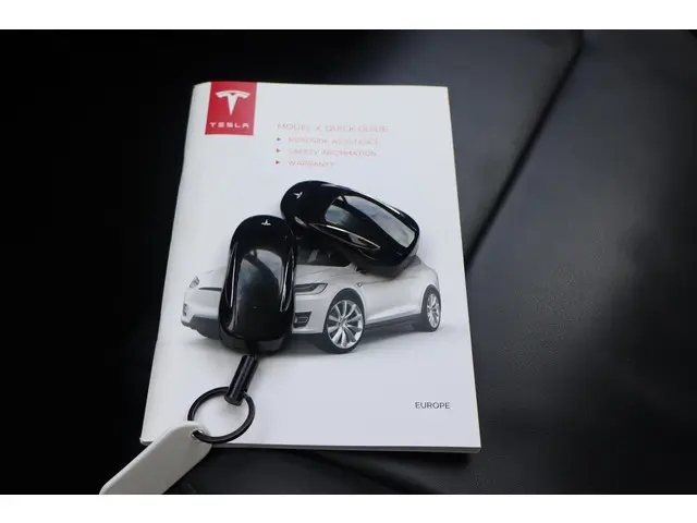 Tesla Model X 100D 2017 Elektrisch 3