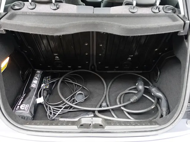 Fiat 500 Icon 42 kWh Aut- 2020 Elektrisch 26