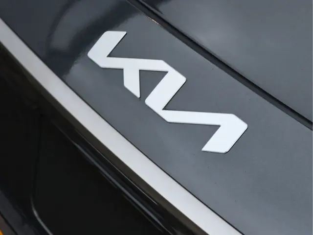 Kia Niro EV ExecutiveLine 64.8 kWh 2022 Elektrisch 11