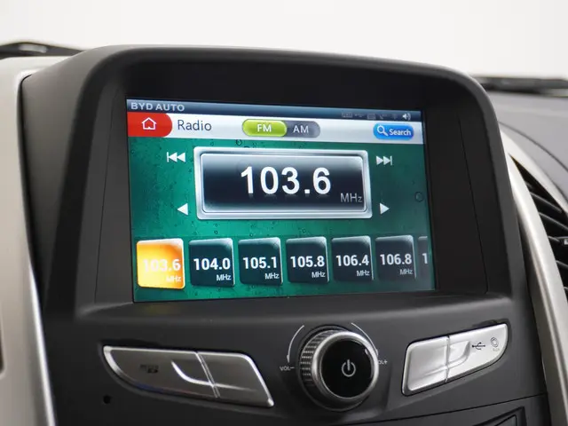 BYD ETP3 Standard 45 kWh 2023 Elektrisch 28