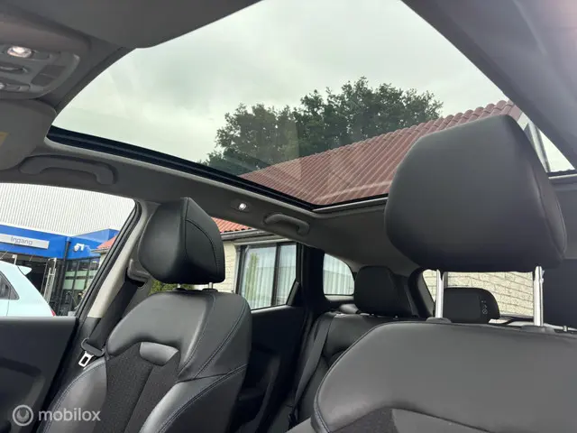 Renault Kadjar 1.2 TCe Black Edition 2018 Benzine 23