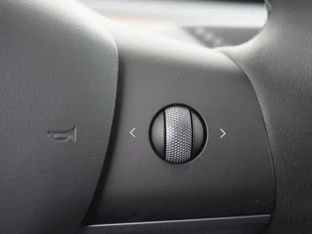 Tesla Model Y Performance AWD 75 kWh 2022 Elektrisch 29