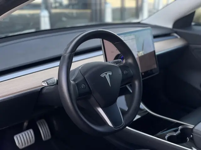 Tesla Model 3 Performance AWD 75 kWh 2019 Elektrisch 10