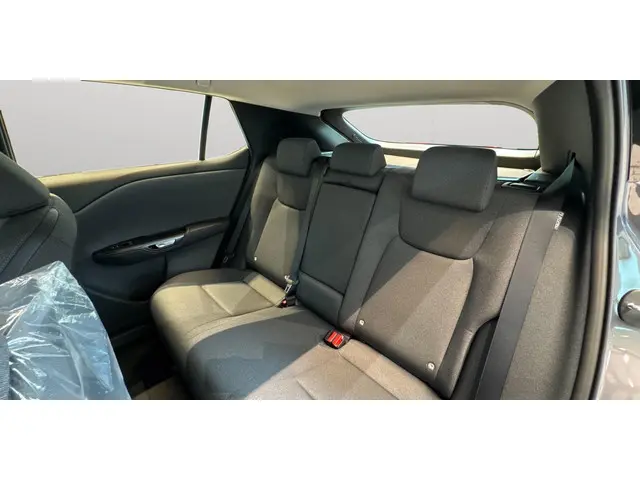 Lexus RZ 300e Business Line 71 kWh 2025 Elektrisch 13