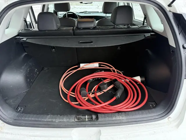 Kia e-Niro DynamicLine 64 kWh 2020 Elektrisch 18