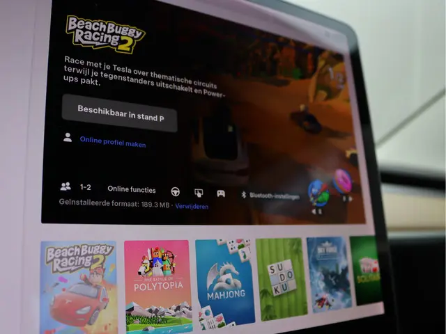 Tesla Model 3 Standard RWD Plus 60 kWh 2019 Elektrisch 45