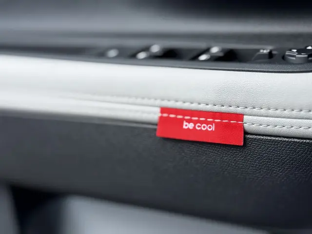 Citroën C3 1.2 Turbo 100pk Max 2025 Benzine 15