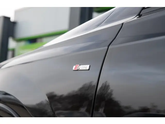 Audi Q7 55 TFSI quattro Pro Line S 7p 2020 Benzine 31