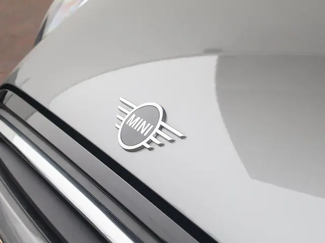 MINI Cooper Mini 1.5 Camden Edition 2023 Benzine 42