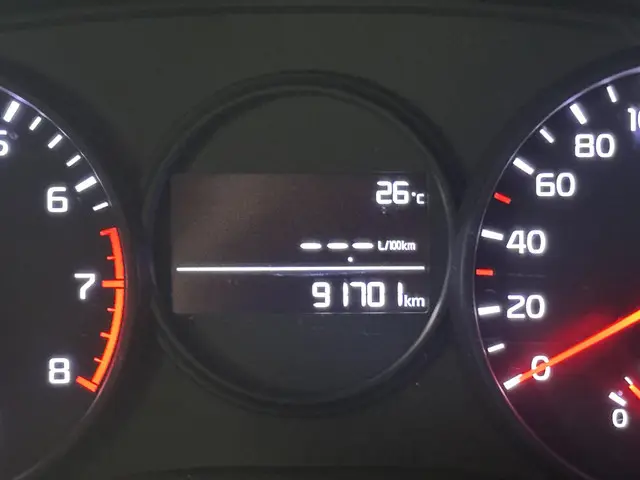 Kia Picanto 1.0 MPi DynamicPlusLine 2019 Benzine 9
