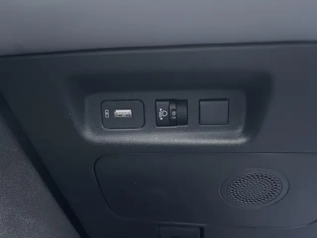 Dongfeng Box Launch Edition 42 kWh 2025 Elektrisch 18