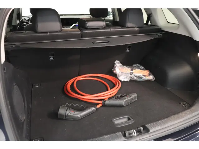 Kia e-Niro ExecutiveLine 64 kWh 2020 Elektrisch 10