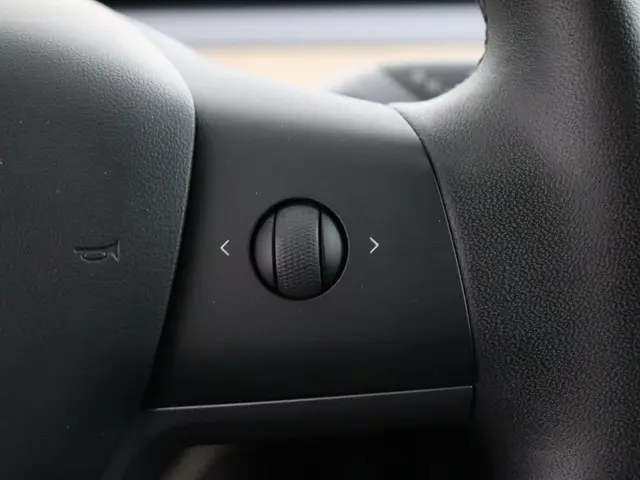 Tesla Model 3 Standard RWD Plus 60 kWh 2020 Elektrisch 17