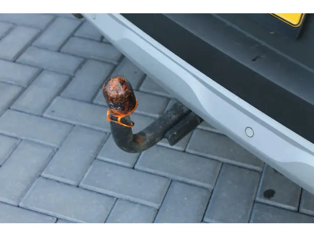 Renault Captur 1.0 TCe 100 Bi-Fuel Intens 2020 Benzine 33